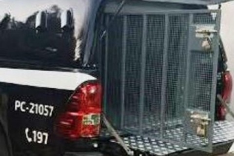 PCPR prende homem condenado a mais de 19 anos de prisão em Mariluz